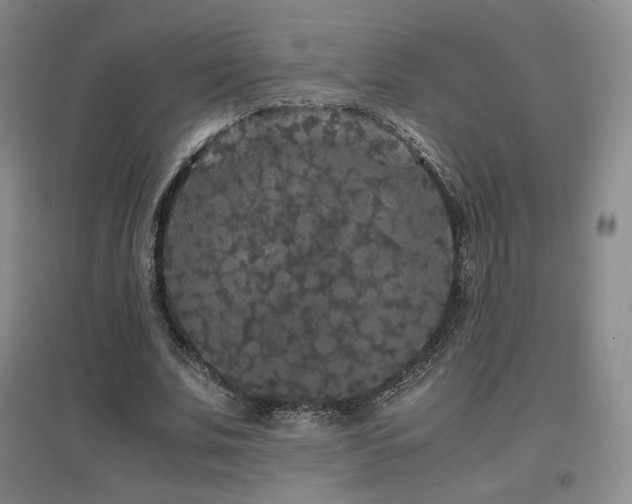 X0000097620679200802291326