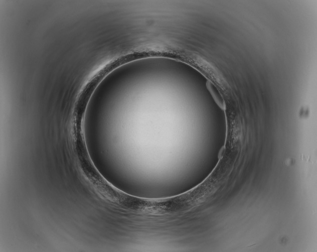 X0000097620680200802291326