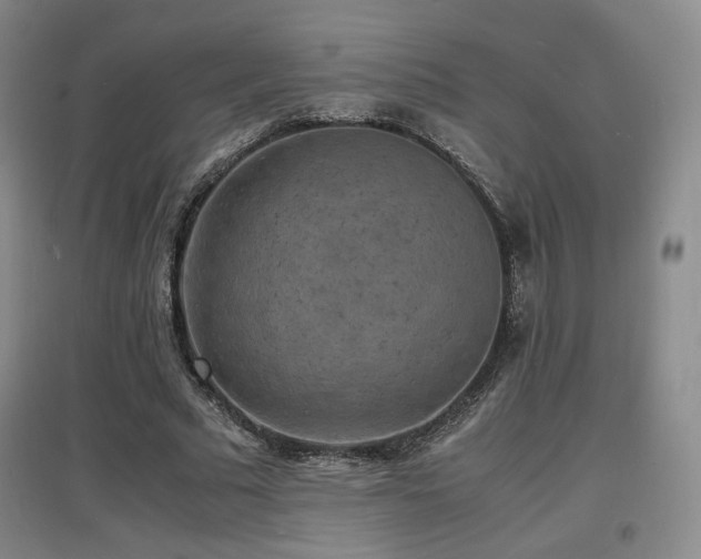 X0000097620681200802291326