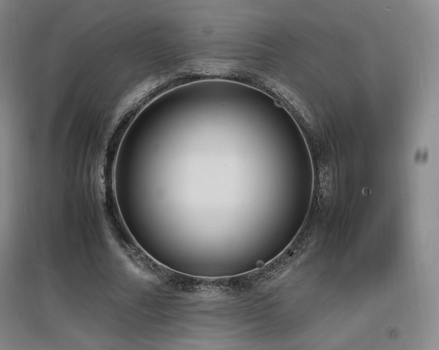 X0000097620682200802291326