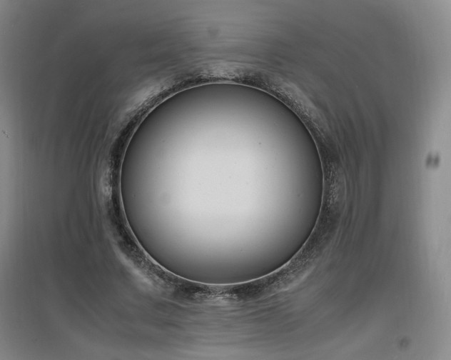 X0000097620683200802291326