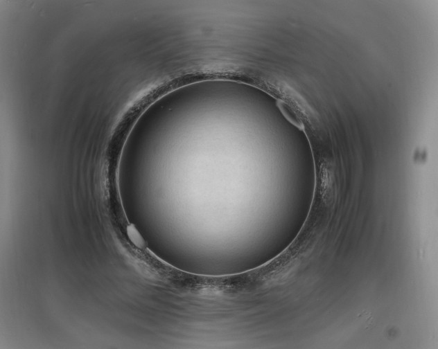 X0000097620684200802291326