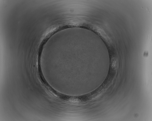 X0000097620685200802291326