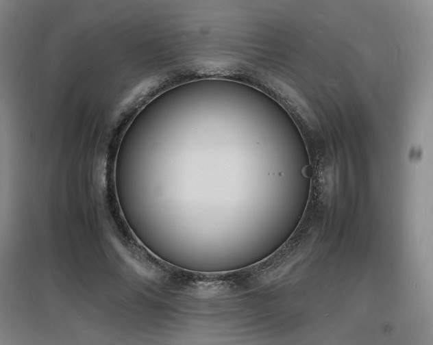 X0000097620686200802291326