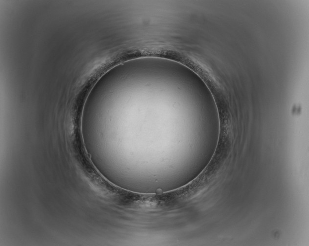 X0000097620687200802291326