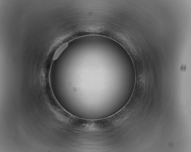 X0000097620688200802291326