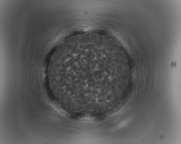 X0000097620691200802291326