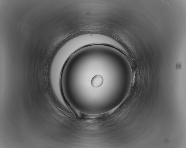 X0000097620692200802291326