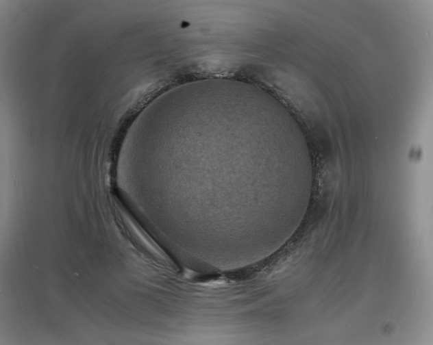 X0000097620693200802291326