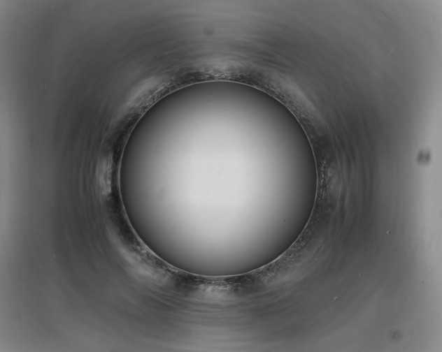 X0000097620694200802291326