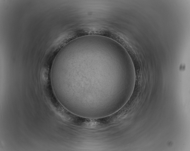 X0000097620695200802291326