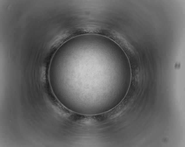 X0000097620696200802291326