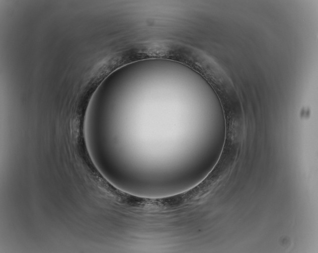 X0000097620697200802291326
