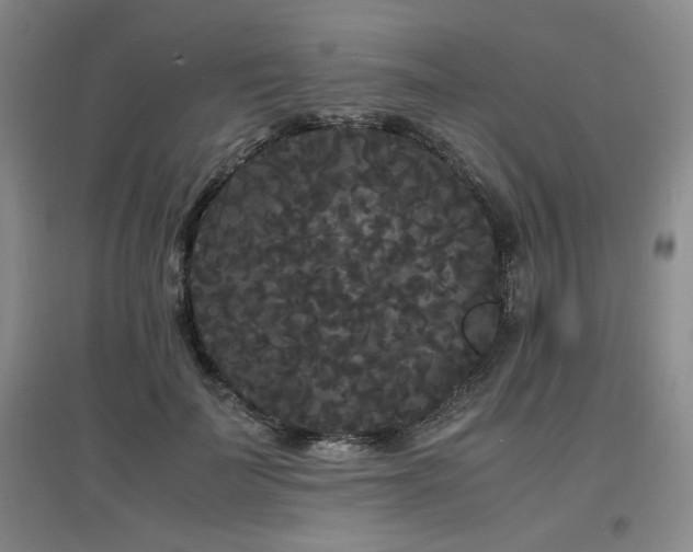X0000097620699200802291326