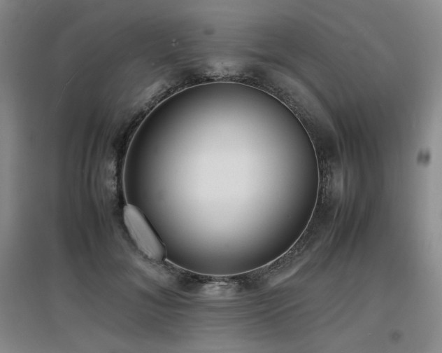 X0000097620700200802291326