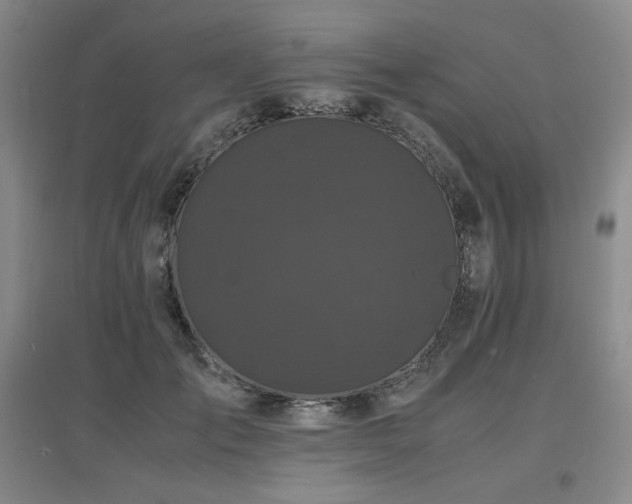 X0000097620701200802291326