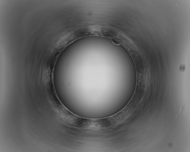 X0000097620702200802291326