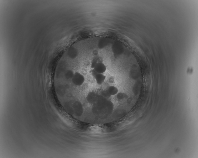 X0000097620703200802291326