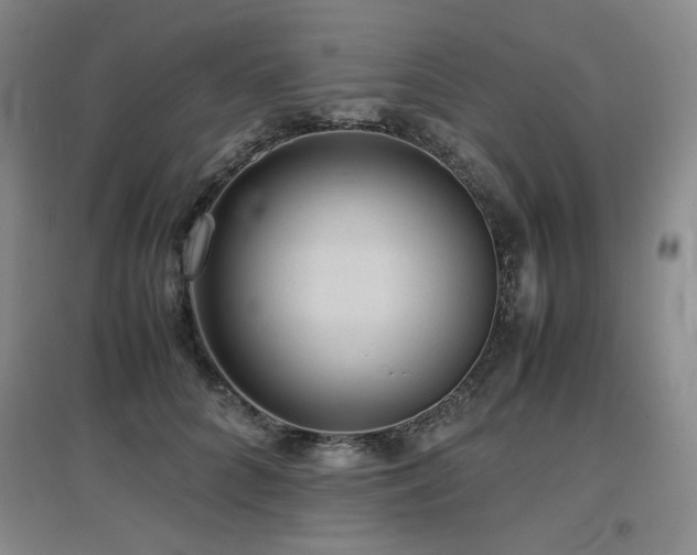 X0000097620704200802291326