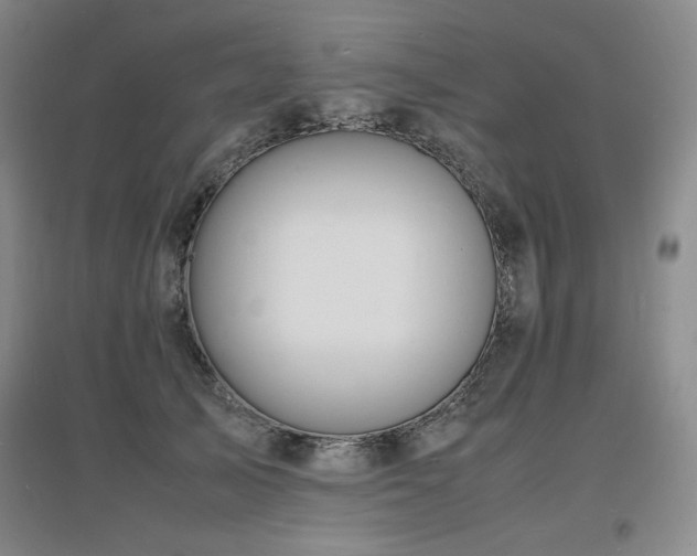 X0000097620705200802291326
