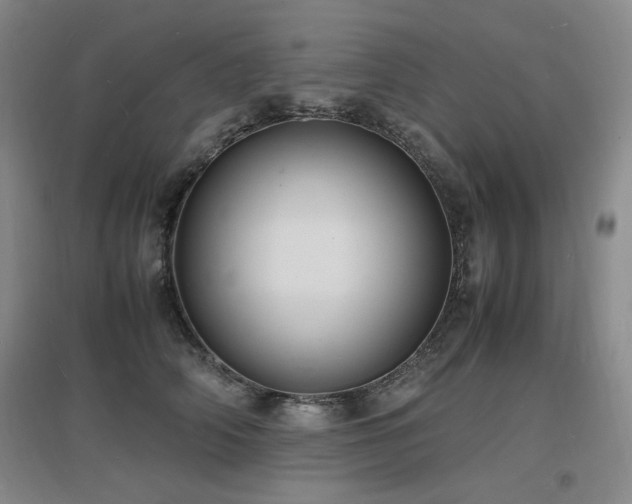 X0000097620706200802291326