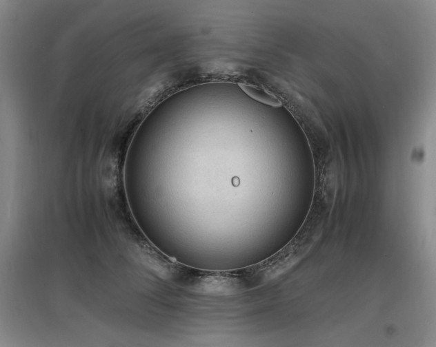 X0000097620708200802291326