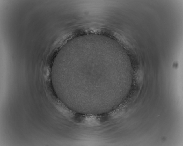X0000097620709200802291326
