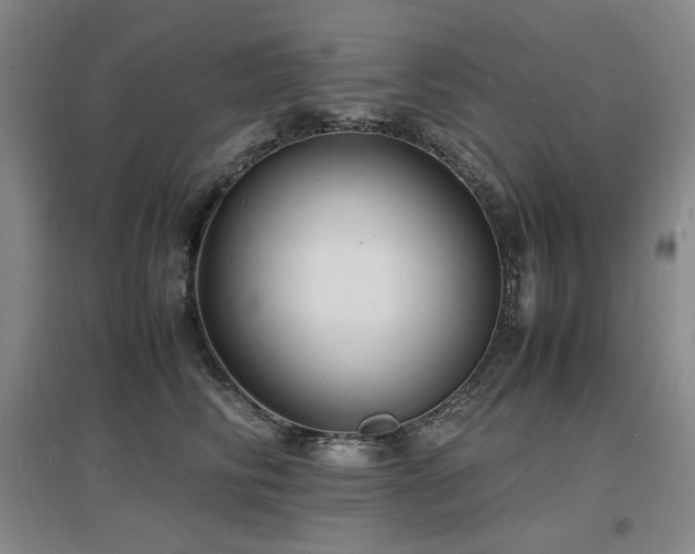 X0000097620710200802291326