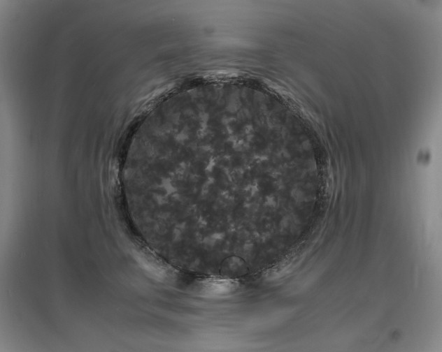 X0000097620711200802291326