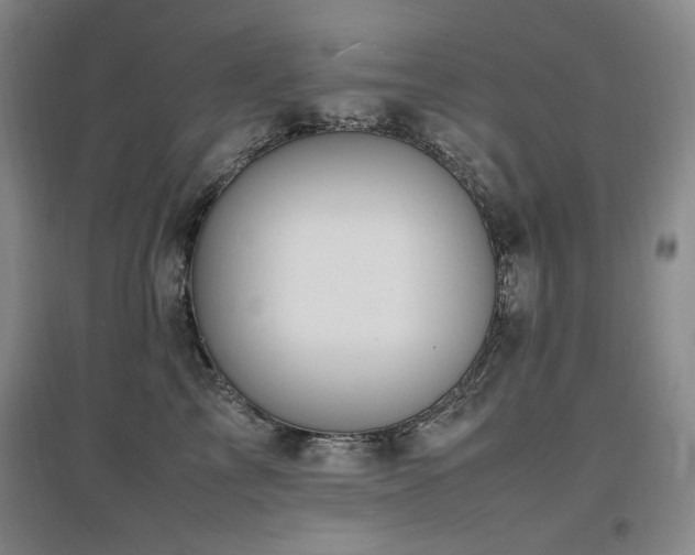 X0000097620713200802291326