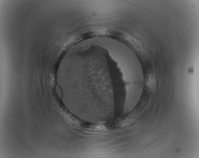 X0000097620715200802291326