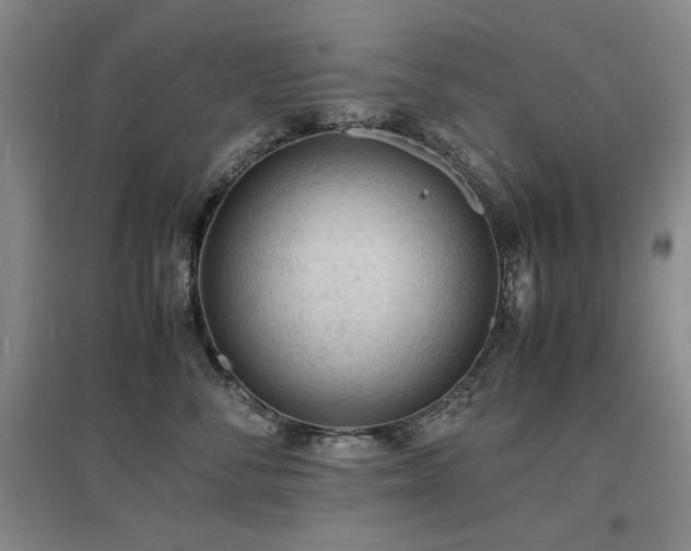 X0000097620716200802291326