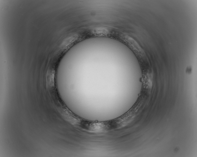 X0000097620717200802291326