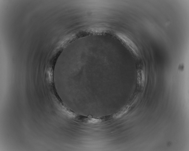 X0000097620718200802291326