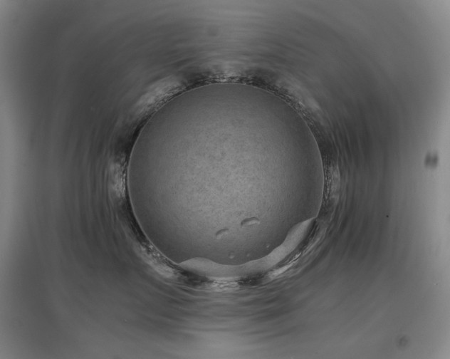 X0000097620719200802291326