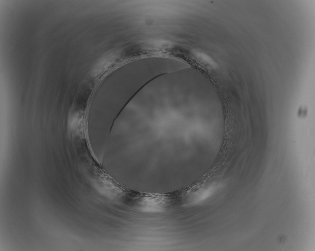 X0000097620720200802291326