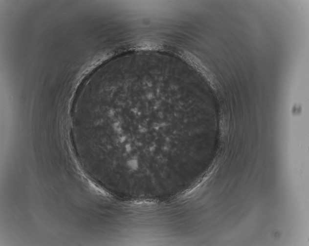 X0000097620721200802291325