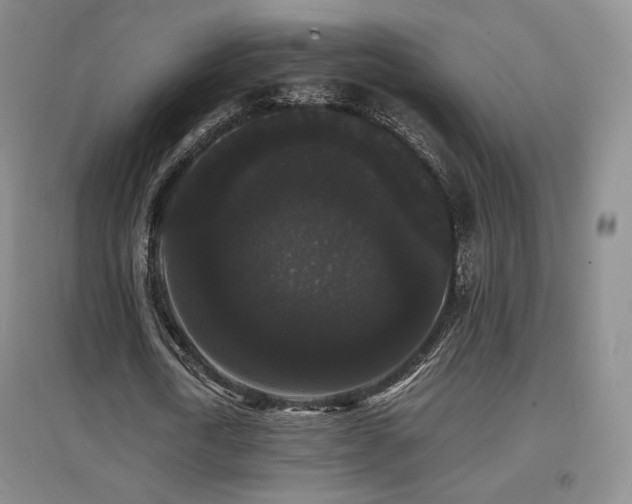 X0000097620722200802291325