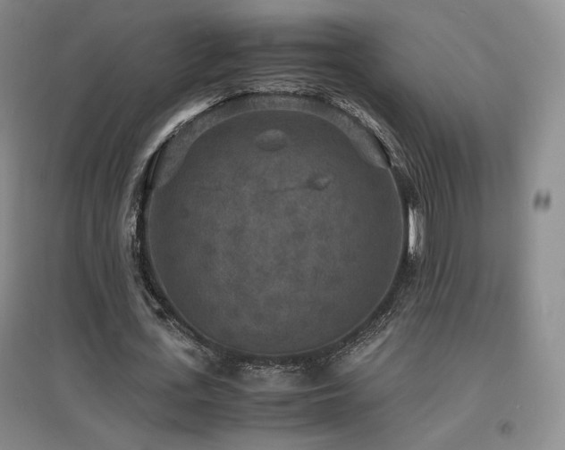 X0000097620723200802291325