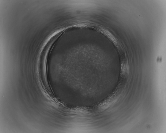 X0000097620724200802291325