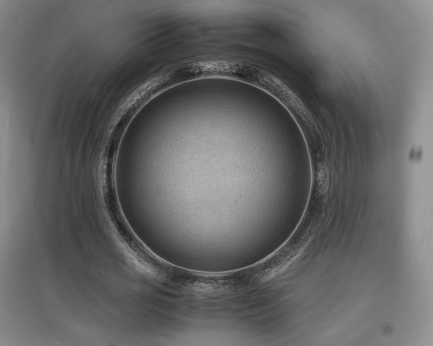 X0000097620725200802291325