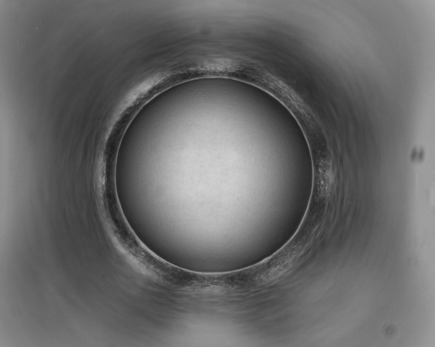 X0000097620726200802291325