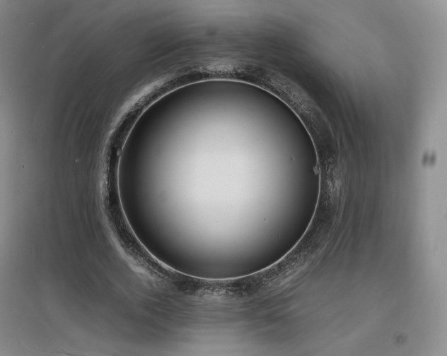 X0000097620728200802291325