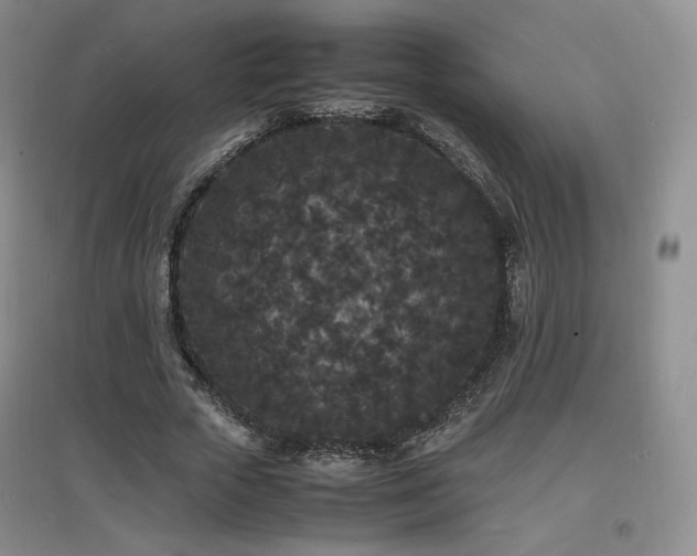X0000097620729200802291325