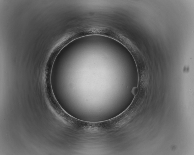 X0000097620730200802291325