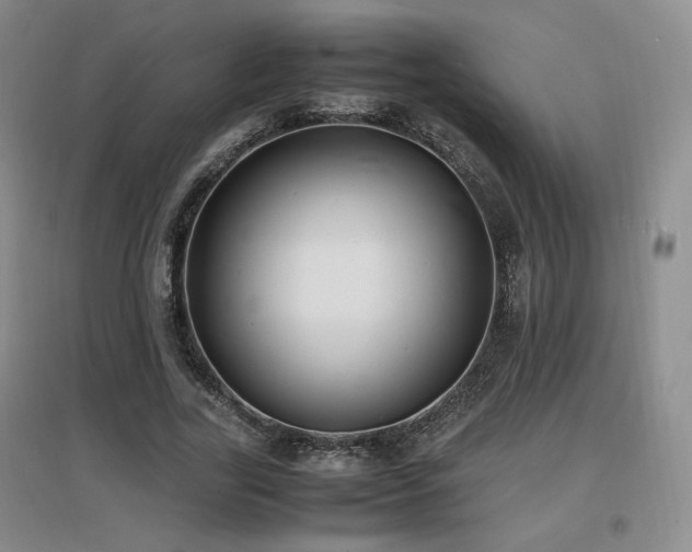 X0000097620731200802291325
