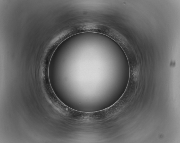 X0000097620732200802291325