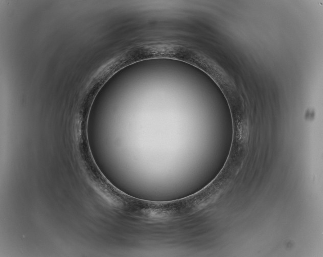 X0000097620733200802291325