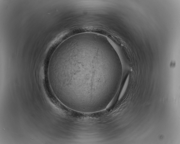 X0000097620734200802291325