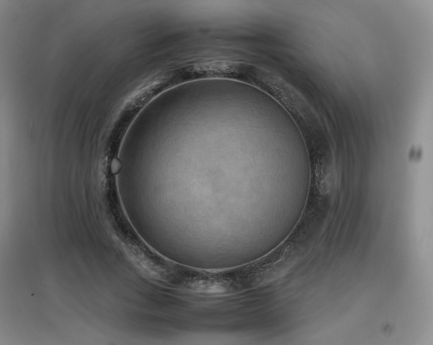 X0000097620735200802291325